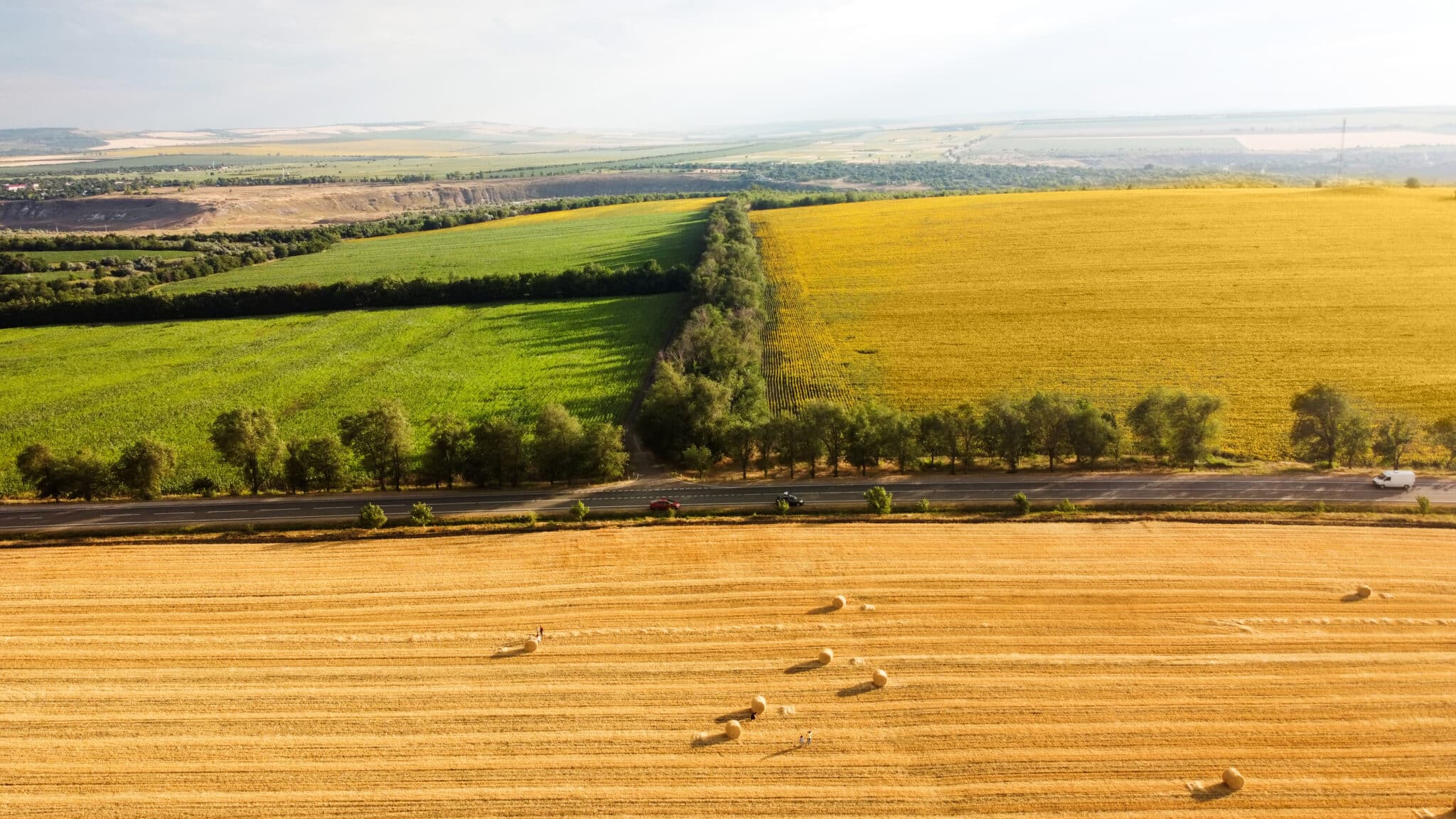 CAMPO