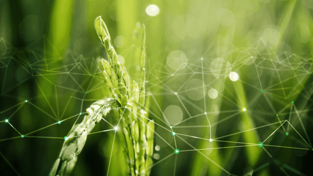 Agricultura inteligente
