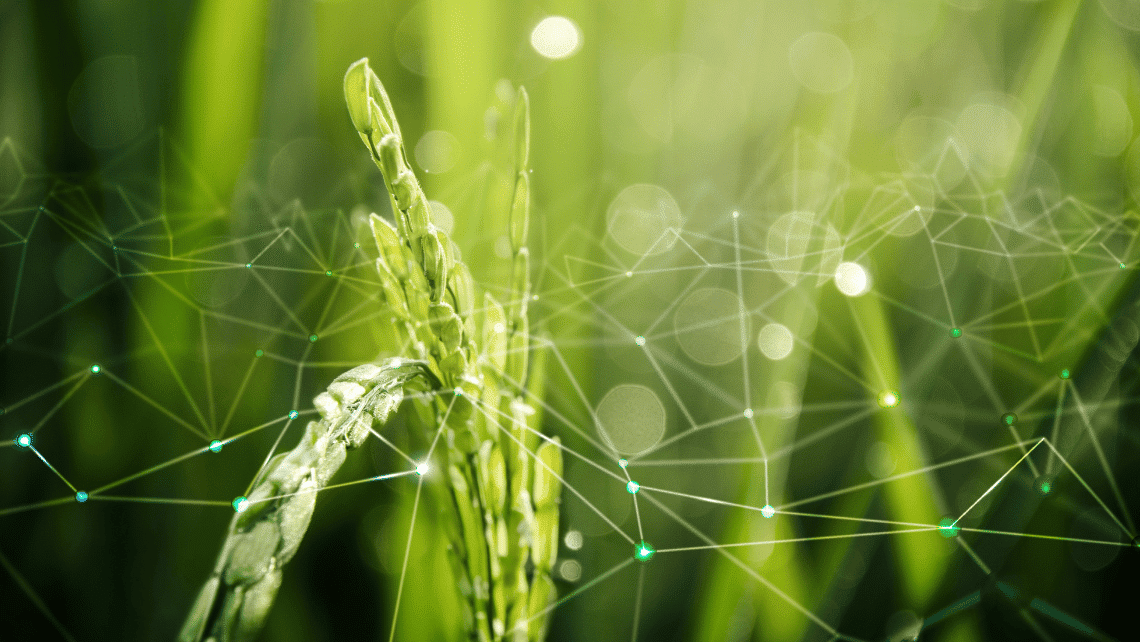 Agricultura inteligente