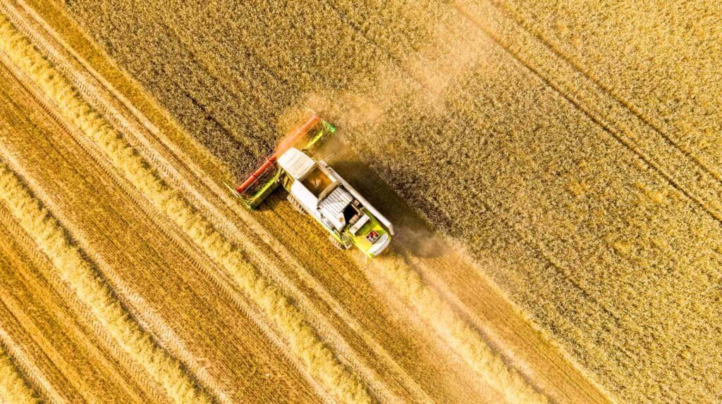 agricultura
